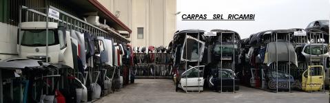 logo Carpas  Srl